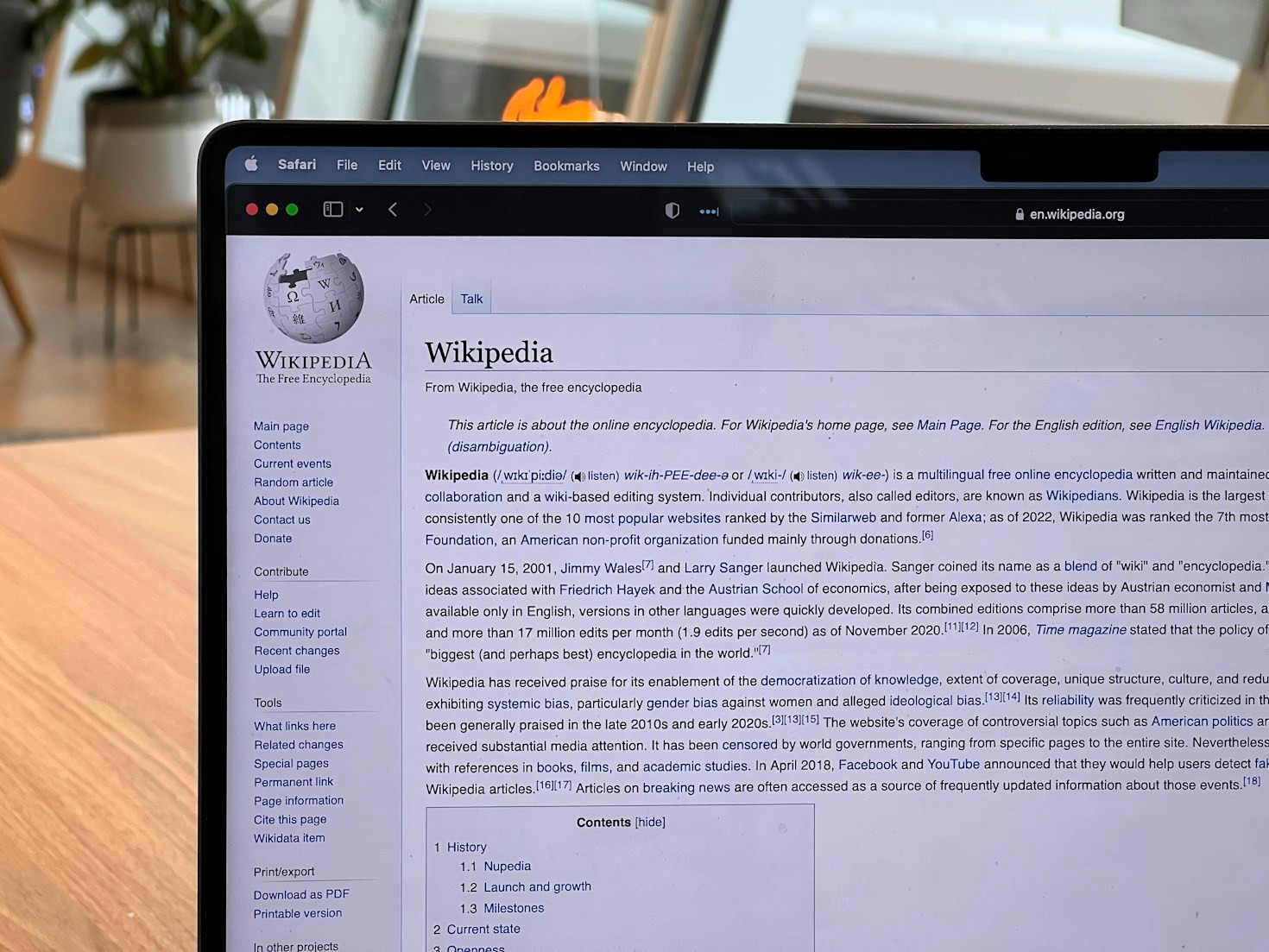 Why WordPress Is Perfect for Personal Platforms